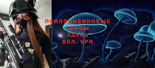ECSTASY Каменка