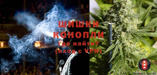 мдпв Каменногорск