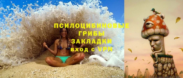 ECSTASY Каменка