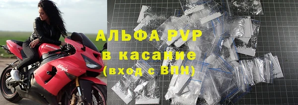 ECSTASY Каменка