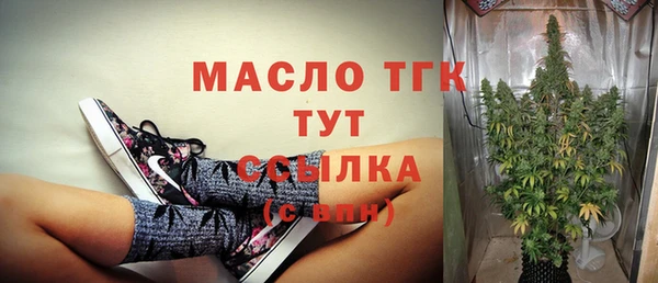 ECSTASY Каменка
