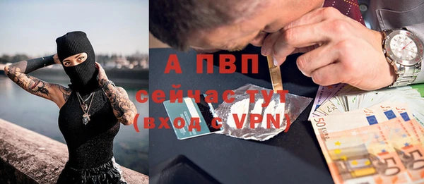 мдпв Каменногорск