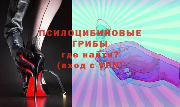 спиды Касимов