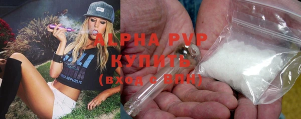 мдпв Каменногорск