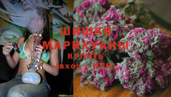 ECSTASY Каменка